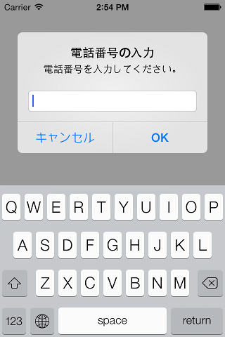 phone_input.png